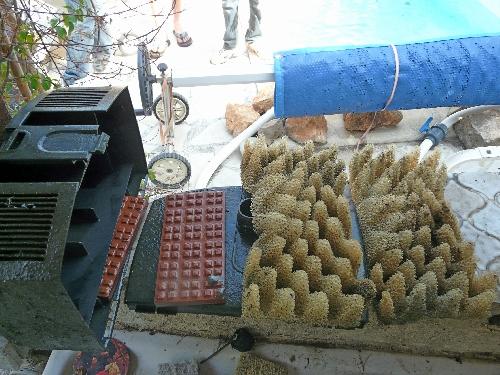 Bassin de Jardin : entretien et nettoyage d'automne !... Bassin de Jardin : entretien et nettoyage d'automne !...