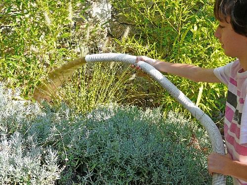 Bassin de Jardin : entretien et nettoyage d'automne !... Bassin de Jardin : entretien et nettoyage d'automne !...