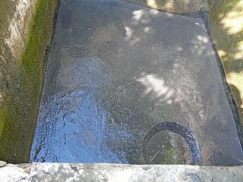 Bassin de Jardin : entretien et nettoyage d'automne !... Bassin de Jardin : entretien et nettoyage d'automne !...