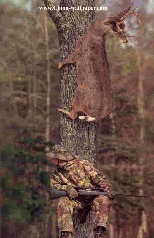 Putain, les cons, ils ont ouvert la chasse !