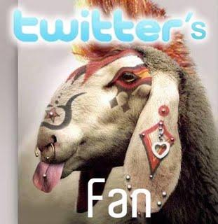 Sur Twitter, la plupart des gens sont des moutons: 80 pour cent des comptes de moins de 10 Followers :
