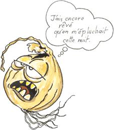 Astuces a la portee de la main L'Oignon (dit Regnegne)