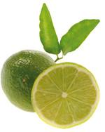 Astuces a la portee de la main http://www.herlitz.de/typo3temp/pics/limette_01_b6d753bfdc.jpg