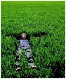 allongé-dans-l-herbe
