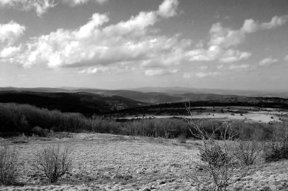 Vue des Hautes Chaumes en noir et blanc