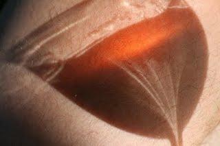 Le verre de rosé Le verre de rosé