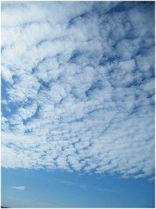 BLEU ...L'été s'en va sur la Pointe des piedsLaissant pla... DSCF1083