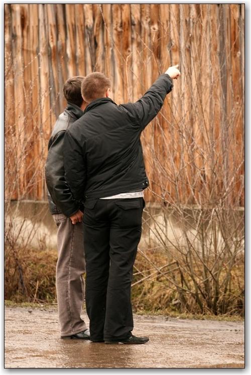 The_Fungi_Miracle_in_Russia_10 The_Fungi_Miracle_in_Russia_10