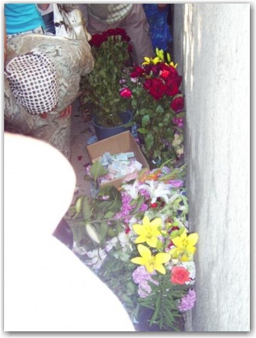 The_Fungi_Miracle_in_Russia_4 The_Fungi_Miracle_in_Russia_4