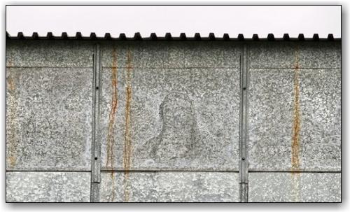 The_Fungi_Miracle_in_Russia_7 The_Fungi_Miracle_in_Russia_7