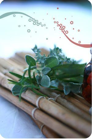 Minis Tomates séchées aux arômates tomate_3