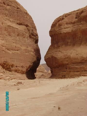 Sinaï, mer rouge et Mont Moïse : rencontre de présentation - Yannick Goosse - Sens Inverse