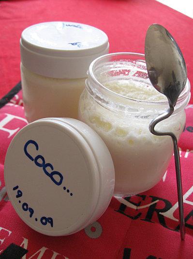 Petit Gadget et Yaourts Noix de Coco