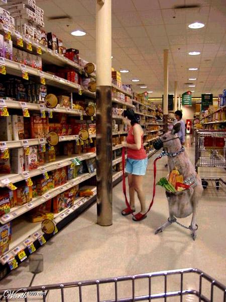En attendant la sirene pour la rupture du jeune En attendant la sirene pour la rupture du jeune