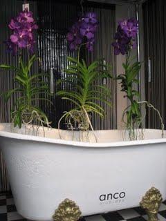 Perturbation sur les allures Perturbation sur les allures