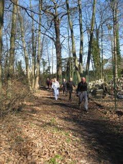 Perturbation sur les allures Perturbation sur les allures