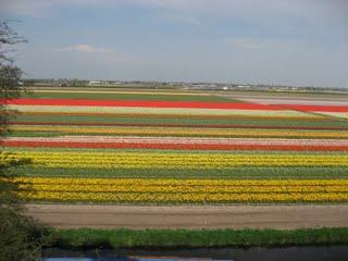 Perturbation sur les allures Perturbation sur les allures