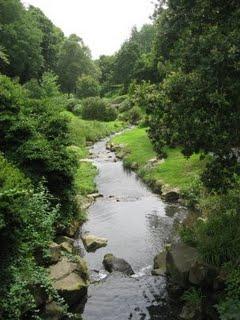 Perturbation sur les allures Perturbation sur les allures