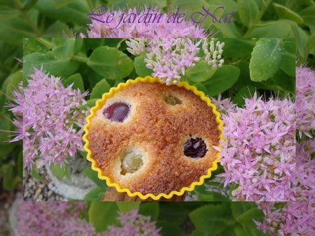 Gâteau amandine aux 2 raisins 028___Copie