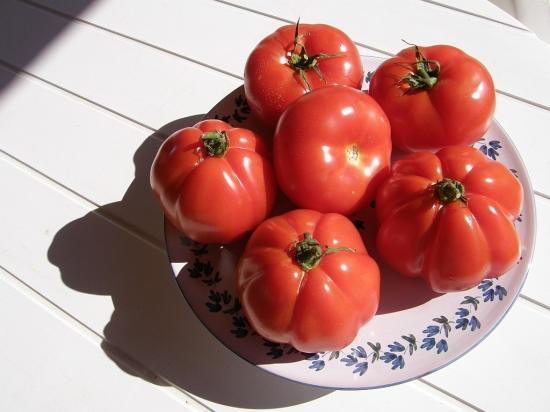 http://image-photos.linternaute.com/image_photo/550/tomates-aups-france-8010522724-944304.jpg