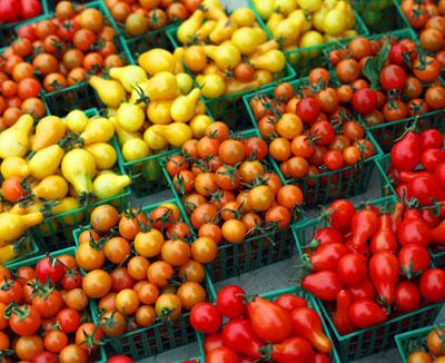 Ce Ramadan la tomate s est fait une beaute en hausse de prix