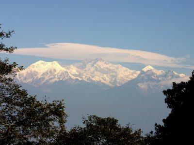 Darjeeling1