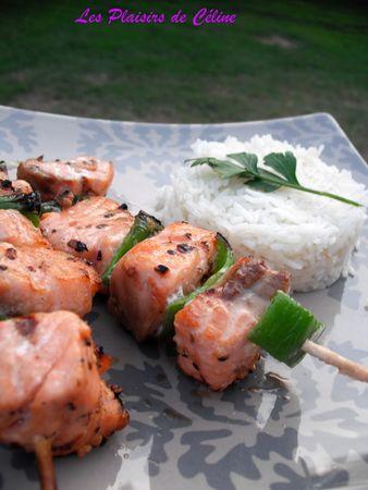 Brochettes de Saumon aux Epices Sucrées DSCF0021_1