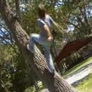Backflip raté sur un arbre