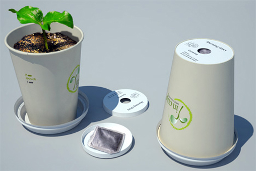 Un café = un arbre ycup Un café = un arbre