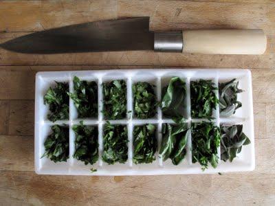 Des herbes fraîches toute l'année