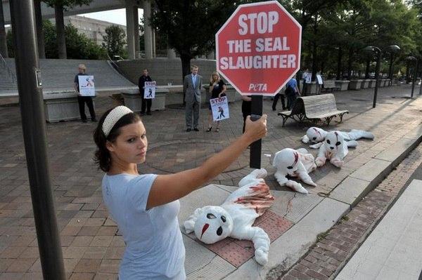 Manifestation de la PETA à Washington