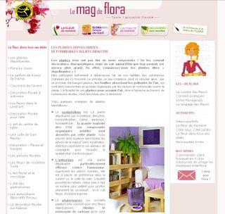 Tout sur les plantes dépolluantes Interflora