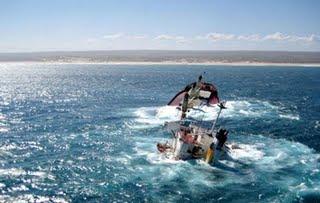 Le piratage écologique : une nouvelle menace pour les mers Le piratage écologique : une nouvelle menace pour les mers