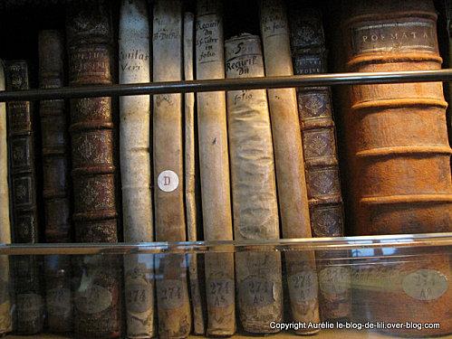 Institut de France : visite de la coupole et de la superbe bibliothèque Mazarine