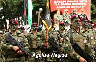 Ingrid Betancourt et les FARC