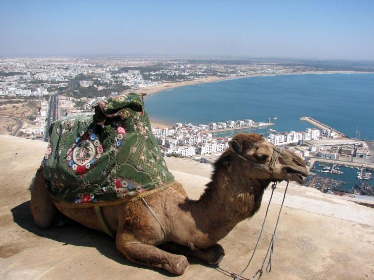 Petite visite a Agadir et Blog Didis Petite visite a Agadir et Blog Didis