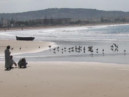 Essaouira, la bien gardee et Blog Eleonor Essaouira, la bien gardee et Blog Eleonor