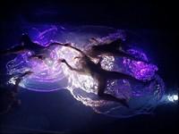 Bienvenue - Welcome to JEB & Henry pages & pics Bienvenue - Welcome to JEB & Henry pages & pics