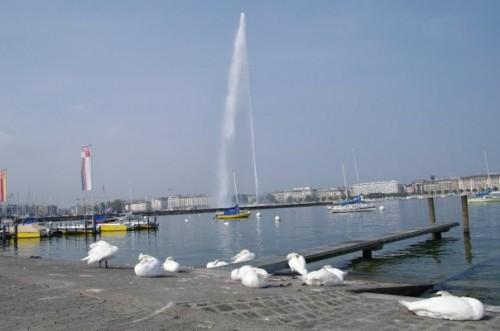 Le Jet d'eau en 30 jours (mois de septembre) 9535_1181475709990_1621127854_503936_2380211_n.jpg