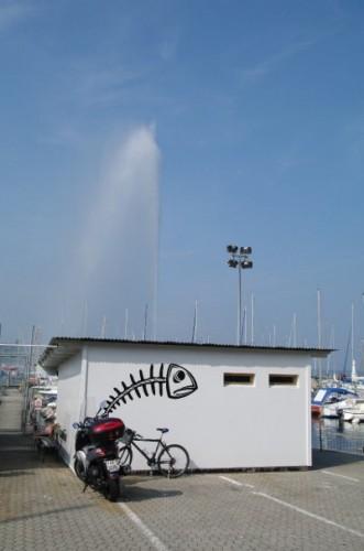 Le Jet d'eau en 30 jours (mois de septembre) 9535_1182237609037_1621127854_505848_3461619_n.jpg