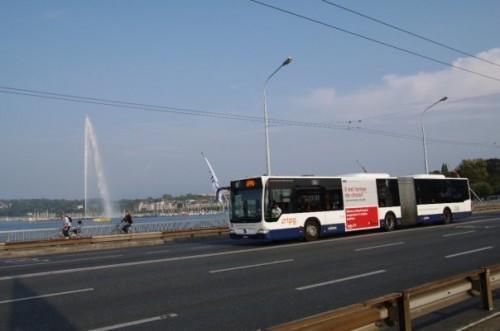 Le Jet d'eau en 30 jours (mois de septembre) 9535_1183176112499_1621127854_508510_6472299_n.jpg