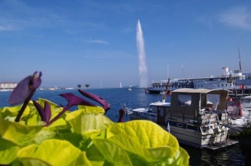 Le Jet d'eau en 30 jours (mois de septembre) 9535_1184915475982_1621127854_514063_7783501_n.jpg