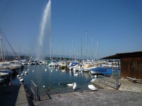 Le Jet d'eau en 30 jours (mois de septembre) 9535_1170282790174_1621127854_474808_5937570_n.jpg