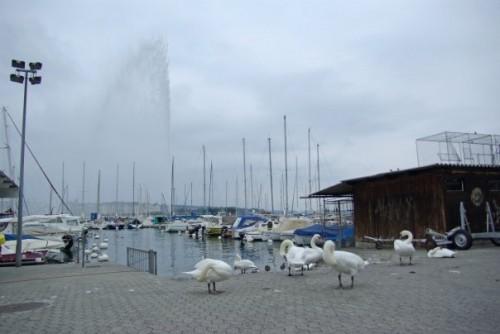 Le Jet d'eau en 30 jours (mois de septembre) 9535_1173428028803_1621127854_482691_7417734_n.jpg