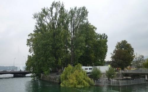 Le Jet d'eau en 30 jours (mois de septembre) 9535_1176076735019_1621127854_489609_7212240_n.jpg