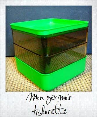 Mais qu'est ce que c'est ? Mes débuts de jardinière... Mais qu'est ce que c'est ? Mes débuts de jardinière...