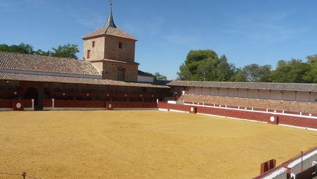 LEs PLUS ANCIENNE ARENES D' ESPAGNE P1040391