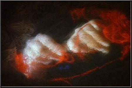 beili liu tirer_delier__1_