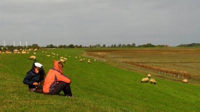 Derniers Lambeaux de Niedersachsen