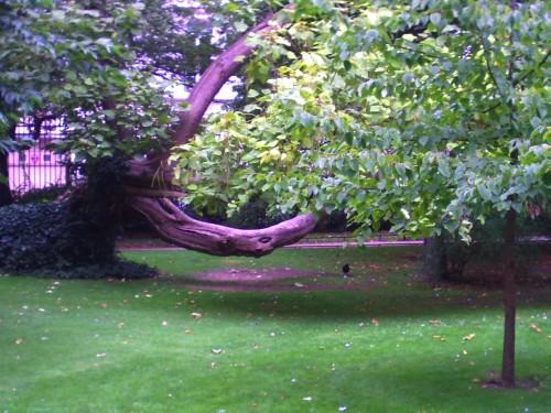 Au jardin du Luxembourg paris 16 septembre 2009 051.jpg